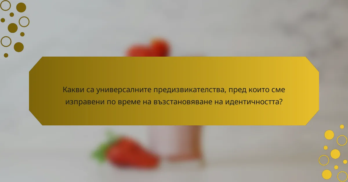 Какви са универсалните предизвикателства, пред които сме изправени по време на възстановяване на идентичността?